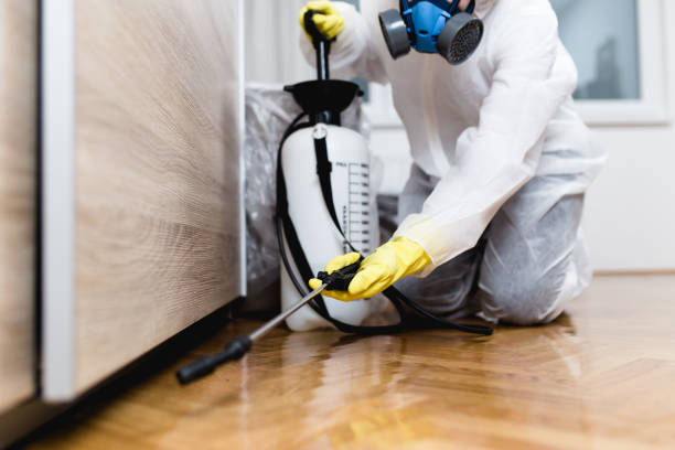 Best Rat Extermination Near Me  in Brodhead, WI