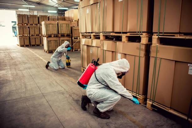 Best Exterminator Services  in Brodhead, WI