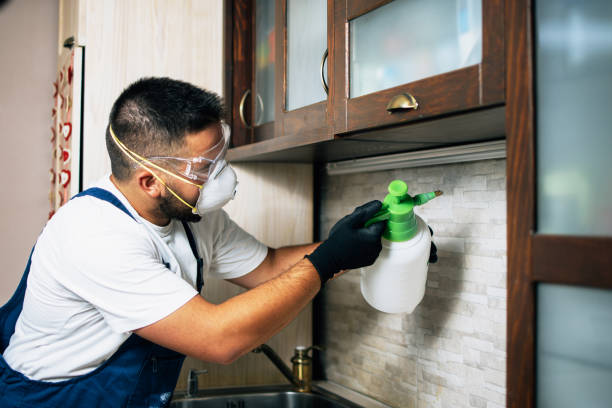 Best Affordable Pest Control Services  in Brodhead, WI