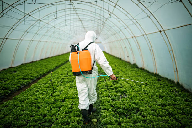 Best Best Pest Control Companies  in Brodhead, WI