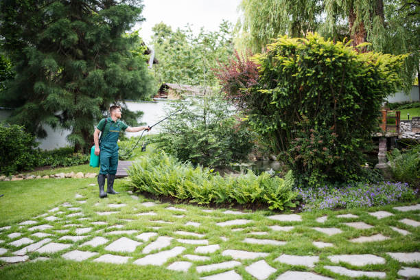 Reliable Brodhead, WI Pest Control Solutions