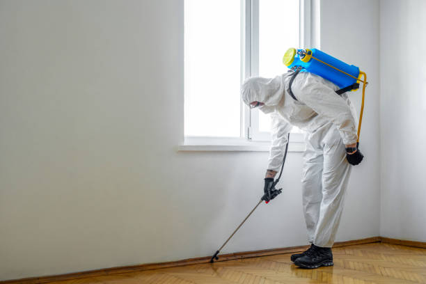 Best Pest Prevention Services  in Brodhead, WI