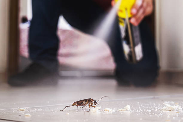 Best Termite Control Services  in Brodhead, WI