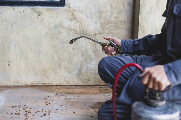 Best Flea Control Services  in Brodhead, WI