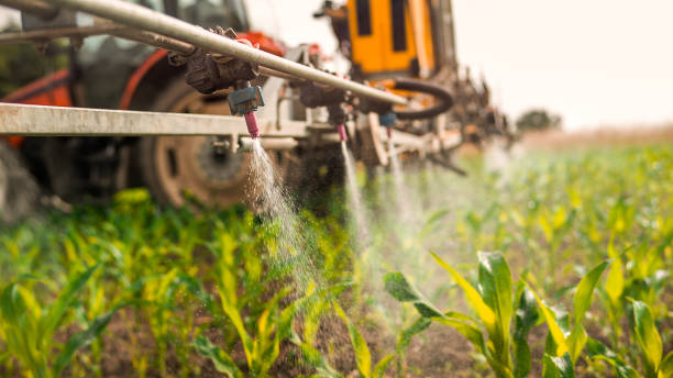 Pest Prevention Services in Brodhead, WI